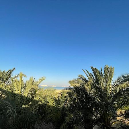 The Nest Hotel Siwa Oasis Ngoại thất bức ảnh