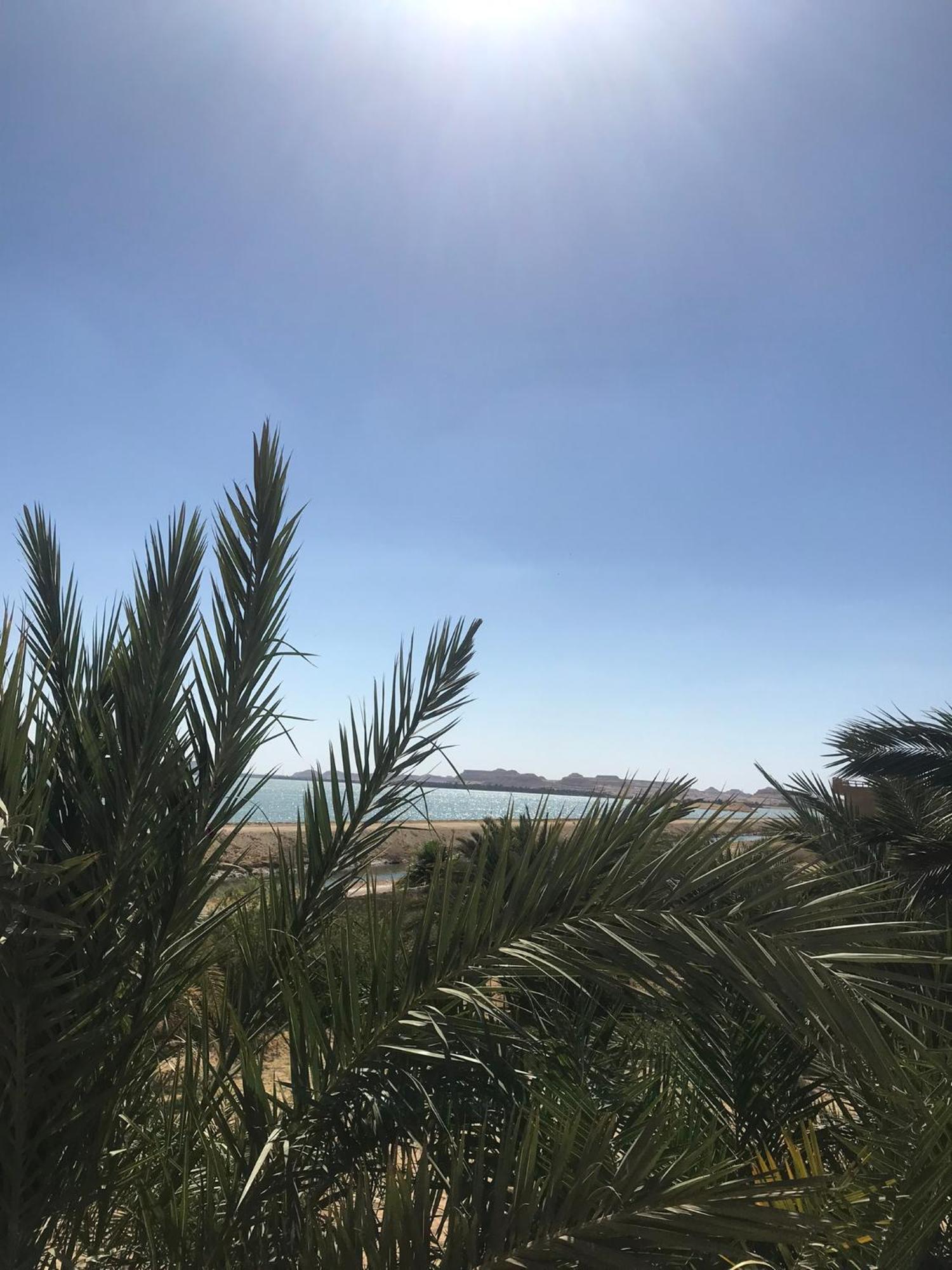 The Nest Hotel Siwa Oasis Ngoại thất bức ảnh