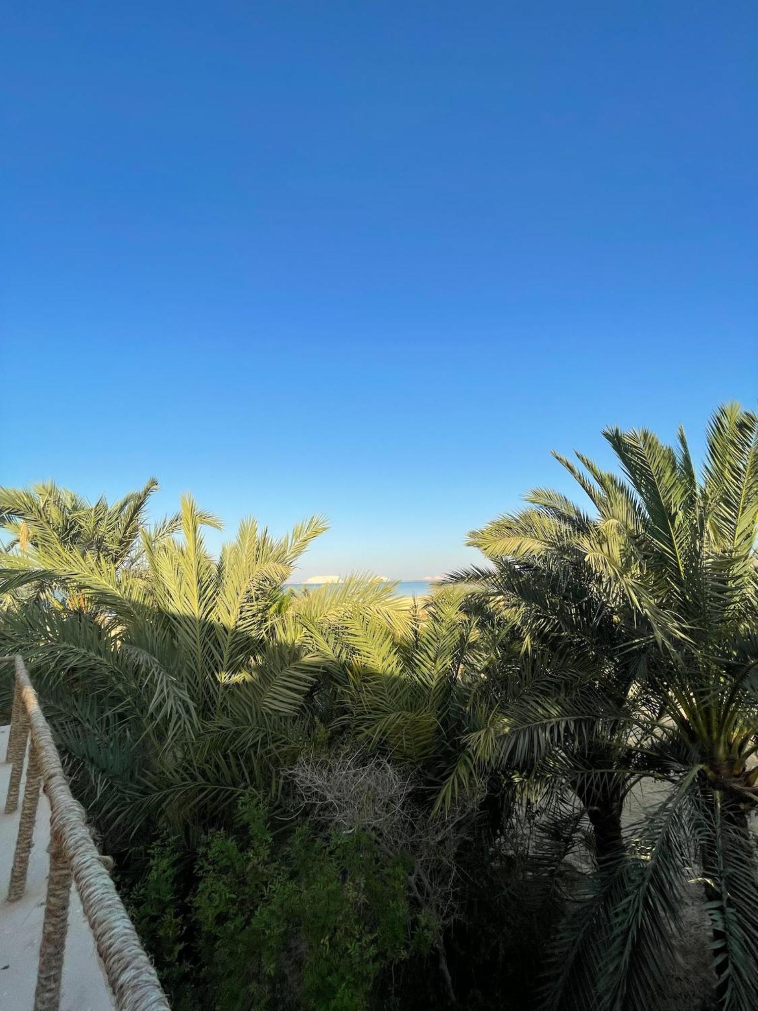The Nest Hotel Siwa Oasis Ngoại thất bức ảnh