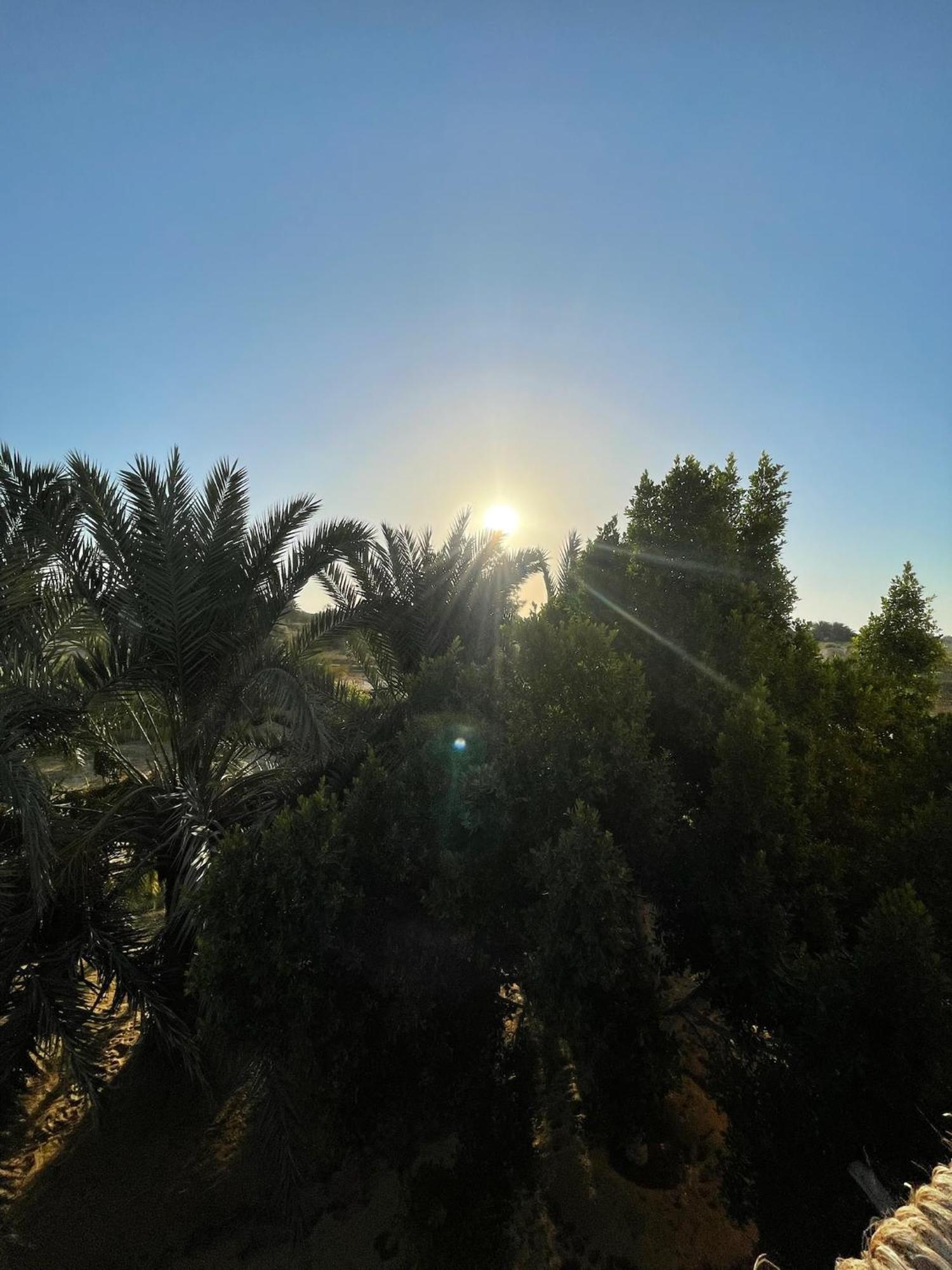 The Nest Hotel Siwa Oasis Ngoại thất bức ảnh