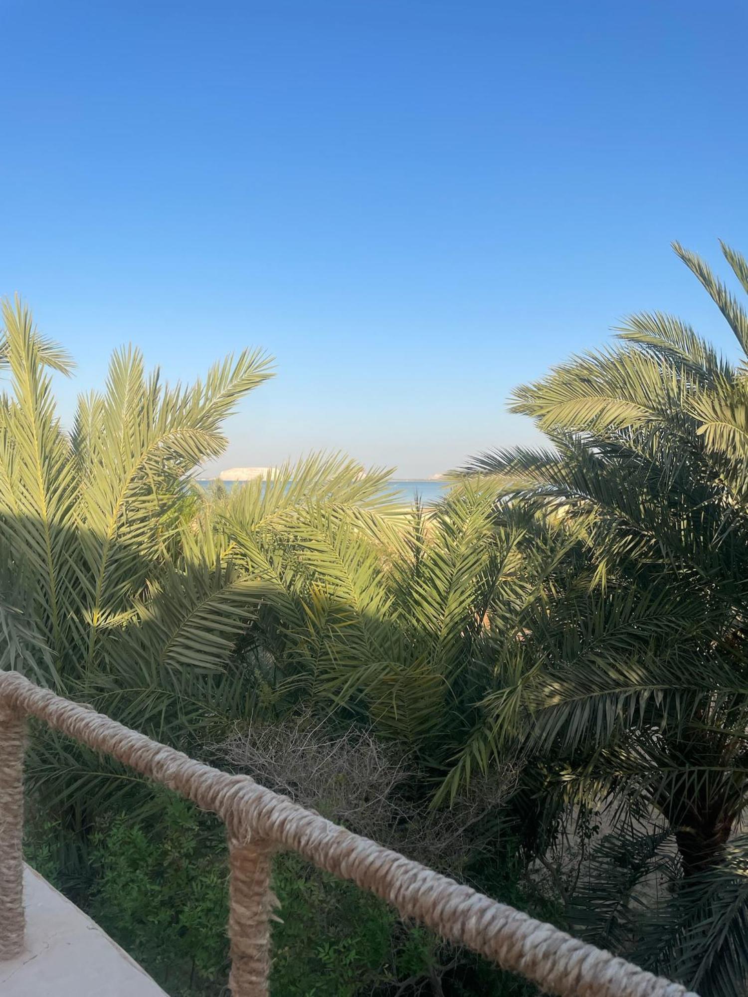 The Nest Hotel Siwa Oasis Ngoại thất bức ảnh