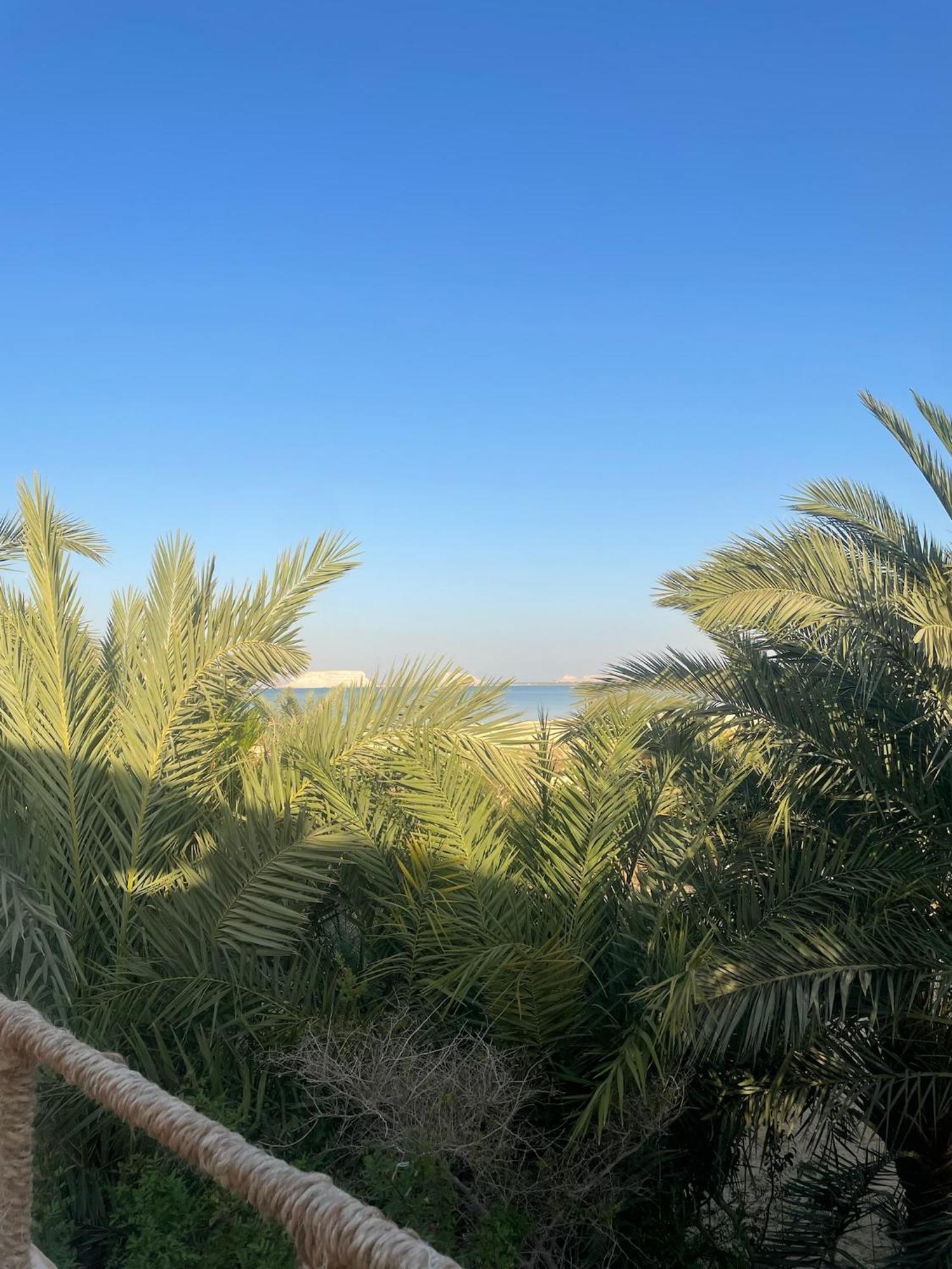 The Nest Hotel Siwa Oasis Ngoại thất bức ảnh